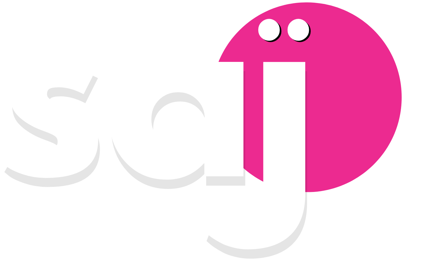 SAJ Expertise